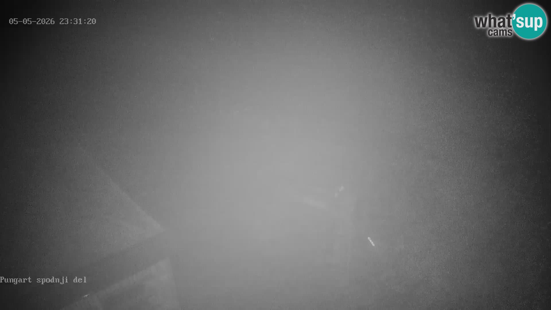 Spletna kamera Kope – Pungart v živo