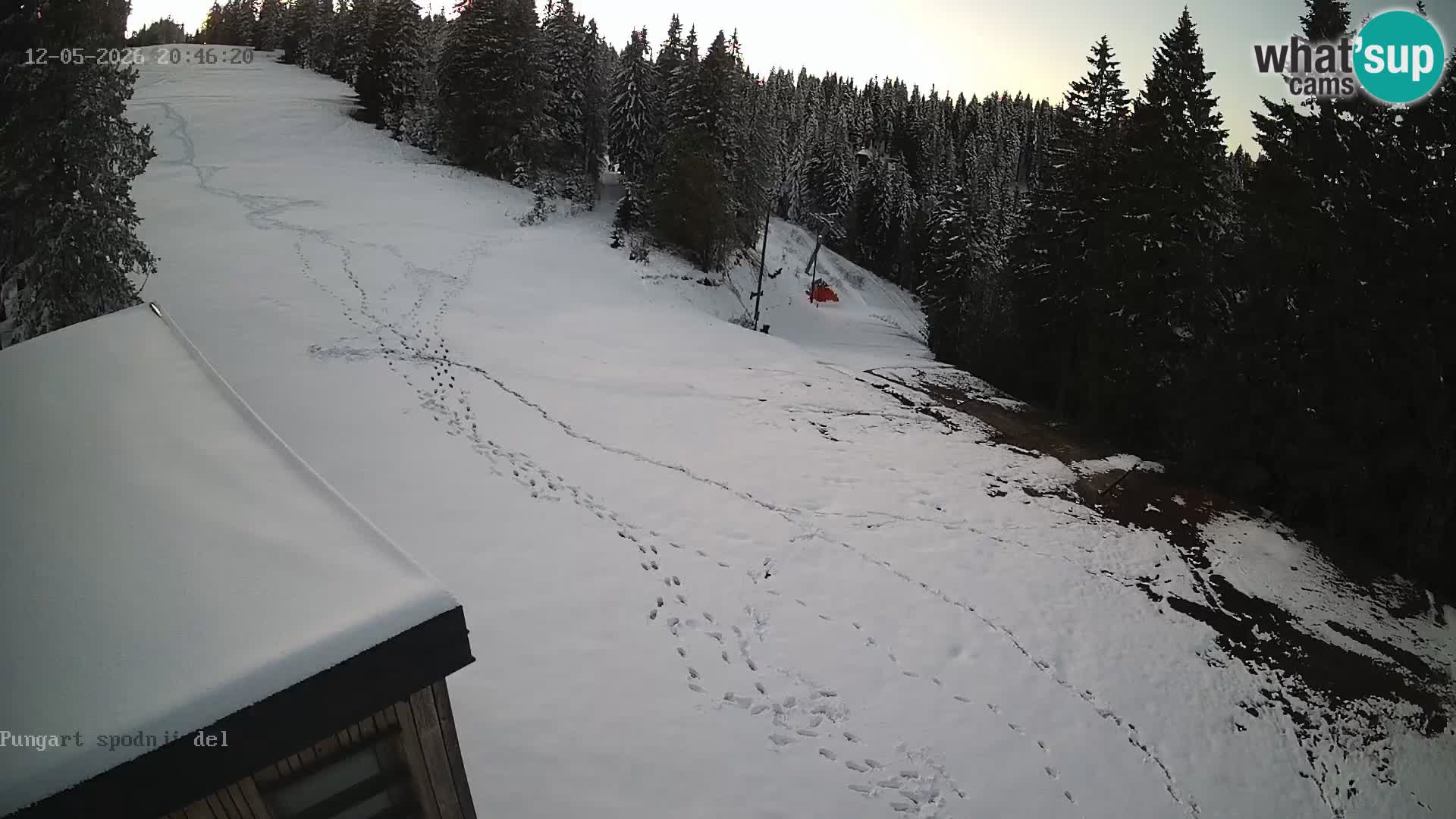 Kope Ski Resort – Pungart Live Webcam