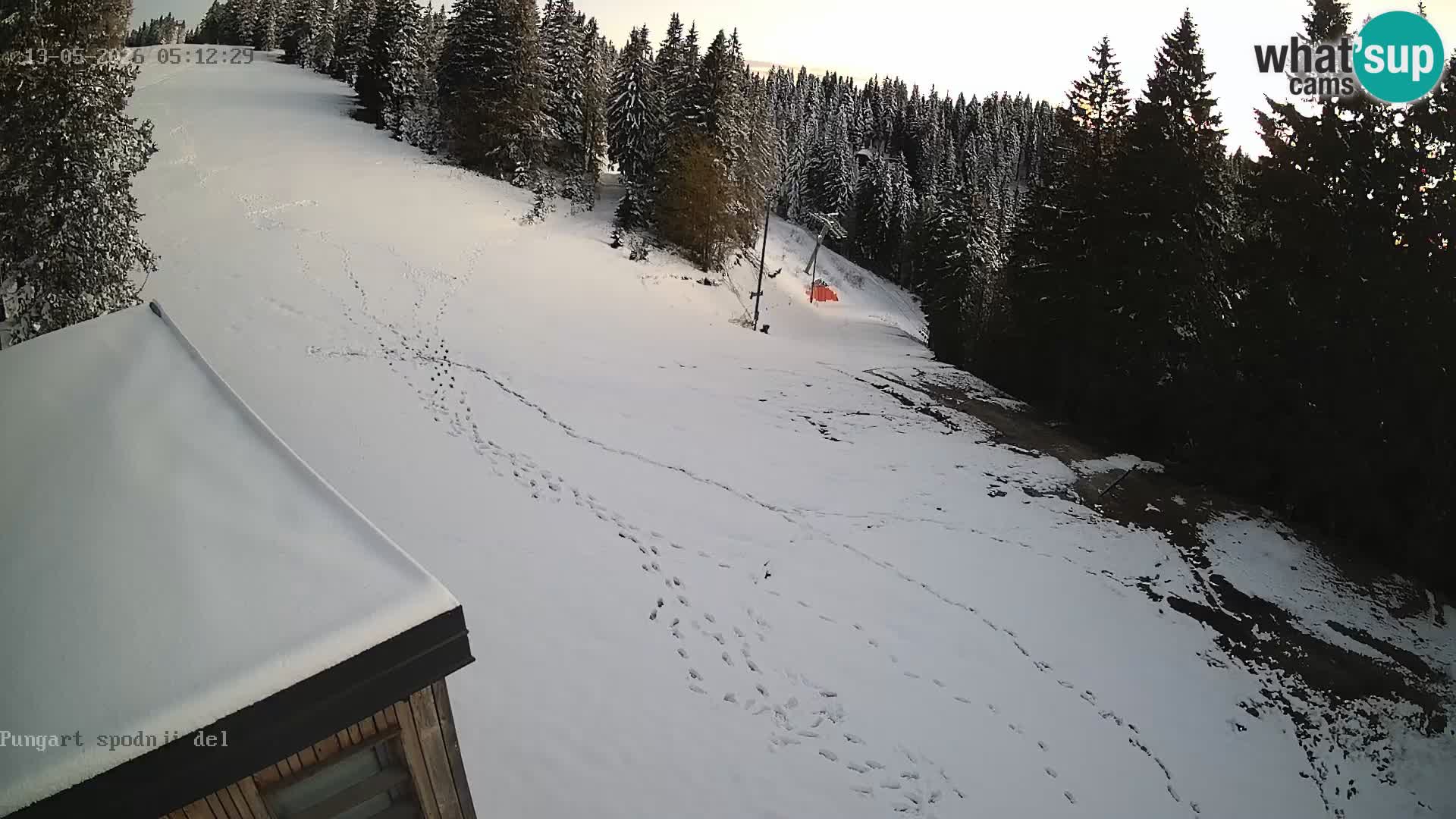 Kope Ski Resort – Pungart Live Webcam