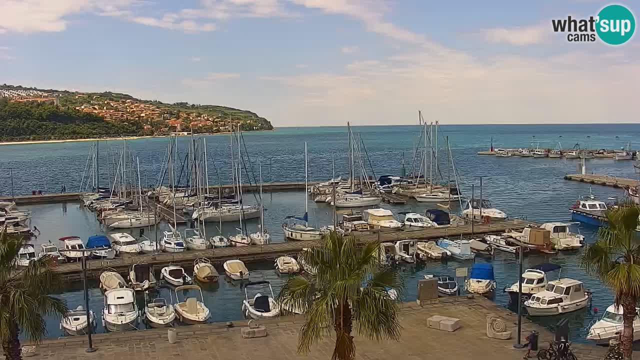 Luka Kopar uživo web kamera – Turistički terminal i teretna luka – Slovenija