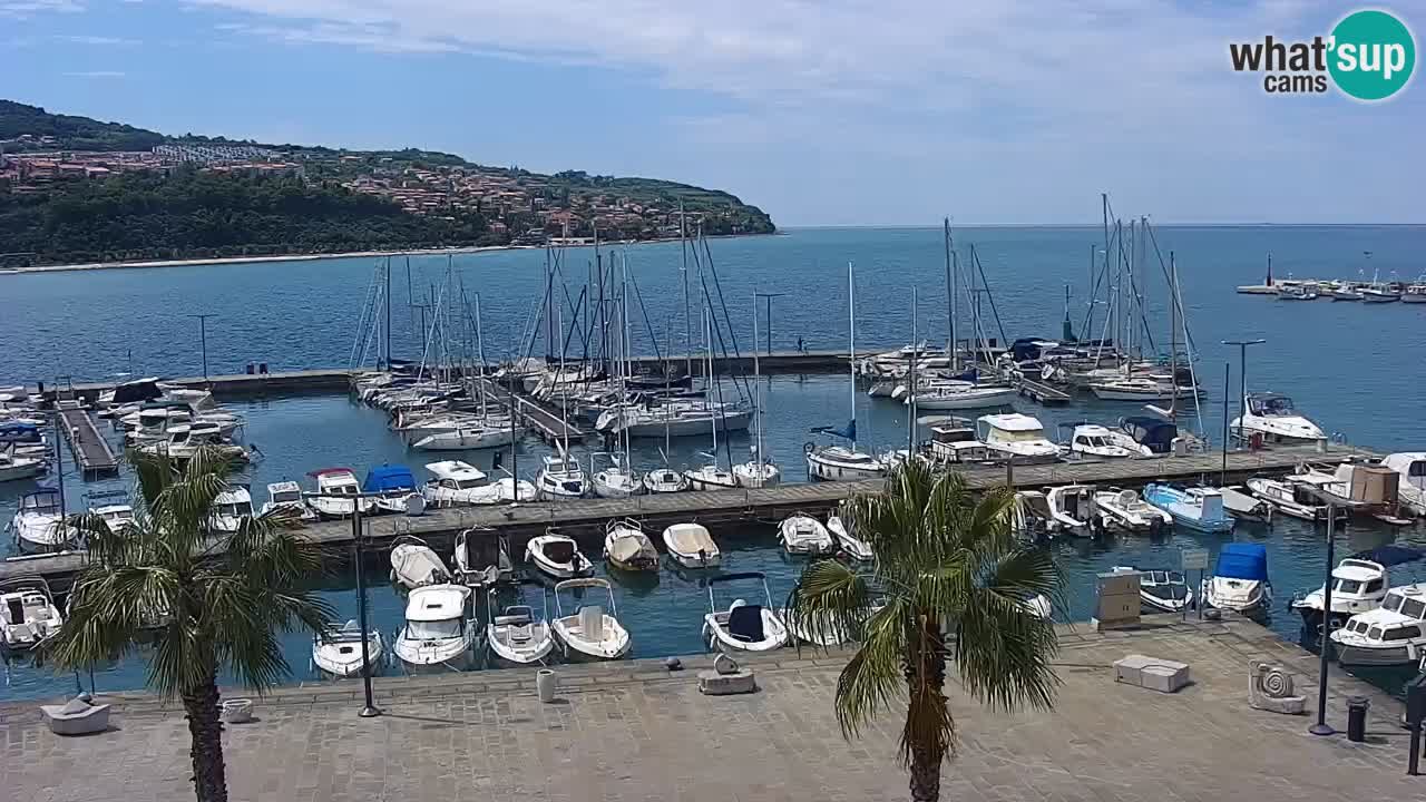 Webcam Koper – Panorama of the marina and promenade from the Grand Hotel Koper
