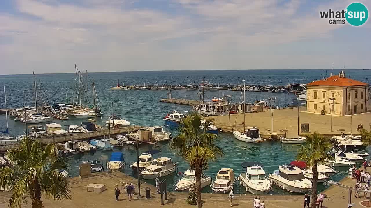 Il porto di Koper – Capodistria live webcam – porto crociere e mercantile – Slovenia