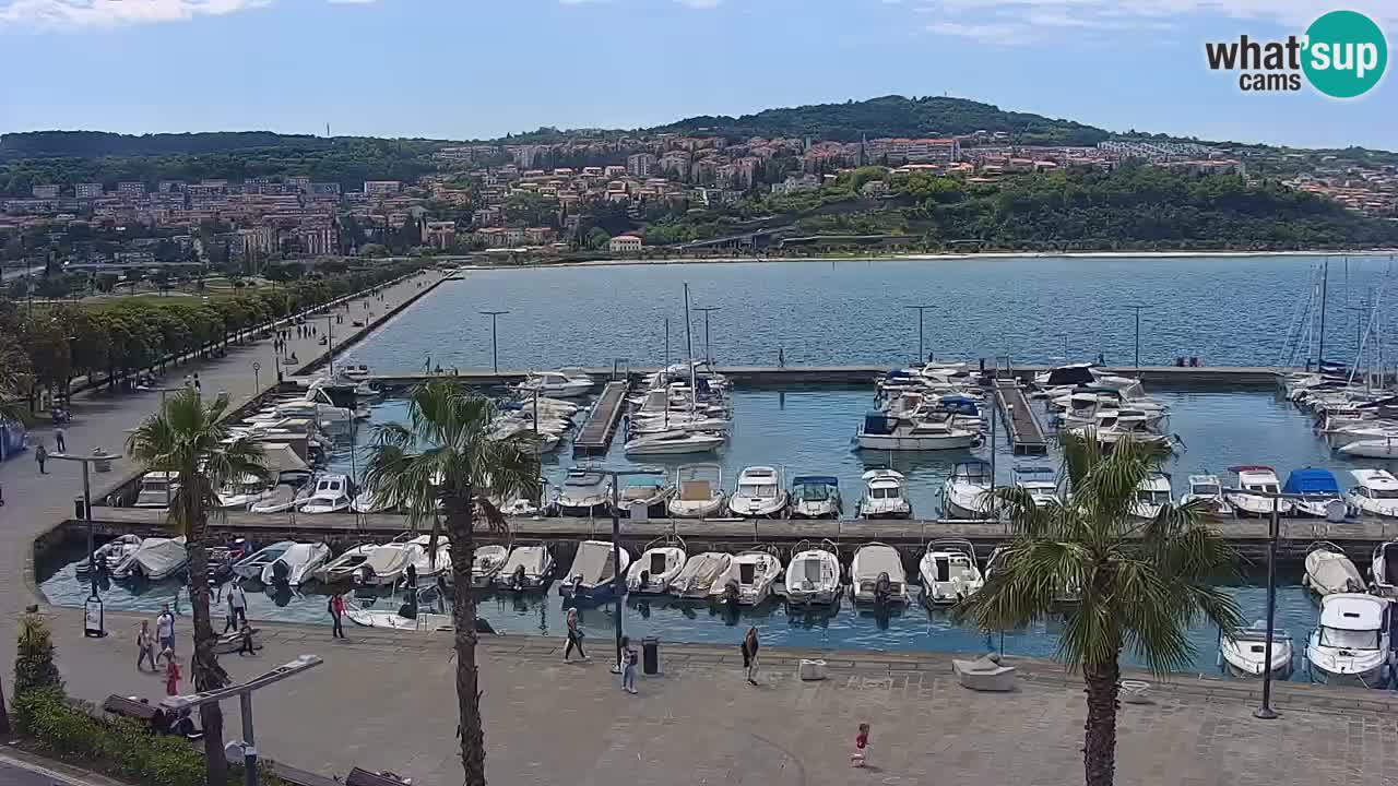 The Port of Koper live webcam – cruise and cargo port – Slovenia