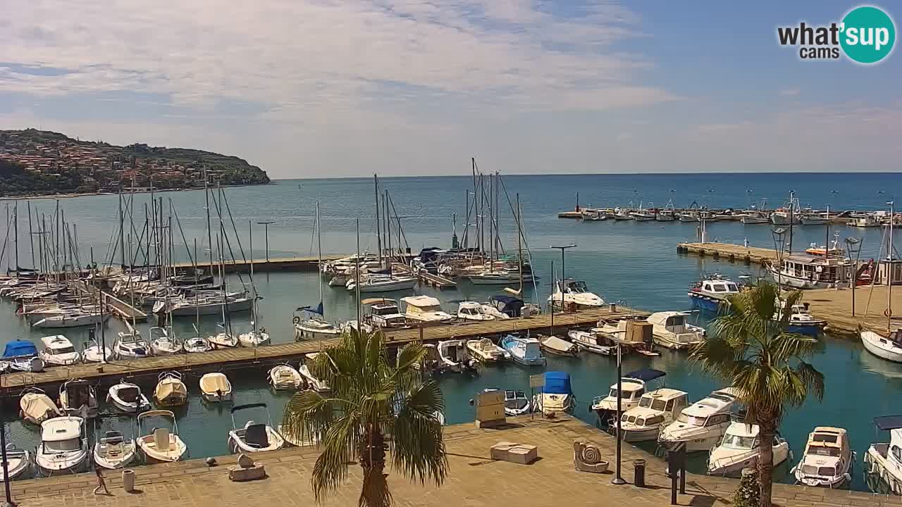 The Port of Koper live webcam – cruise and cargo port – Slovenia