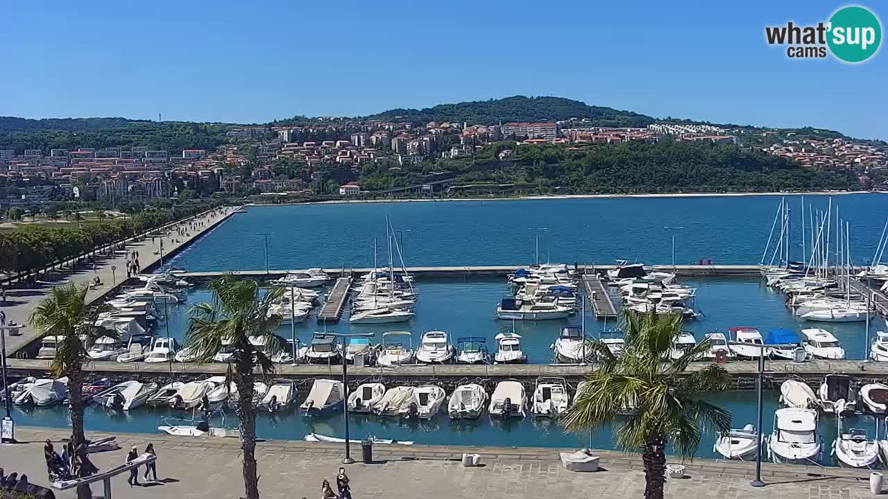 Webcam en direct du port de Koper – port de croisière et de fret – Slovénie