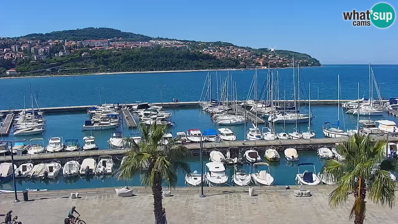 Webcam Koper – Panorama des Jachthafens und der Promenade vom Hotel Grand Koper