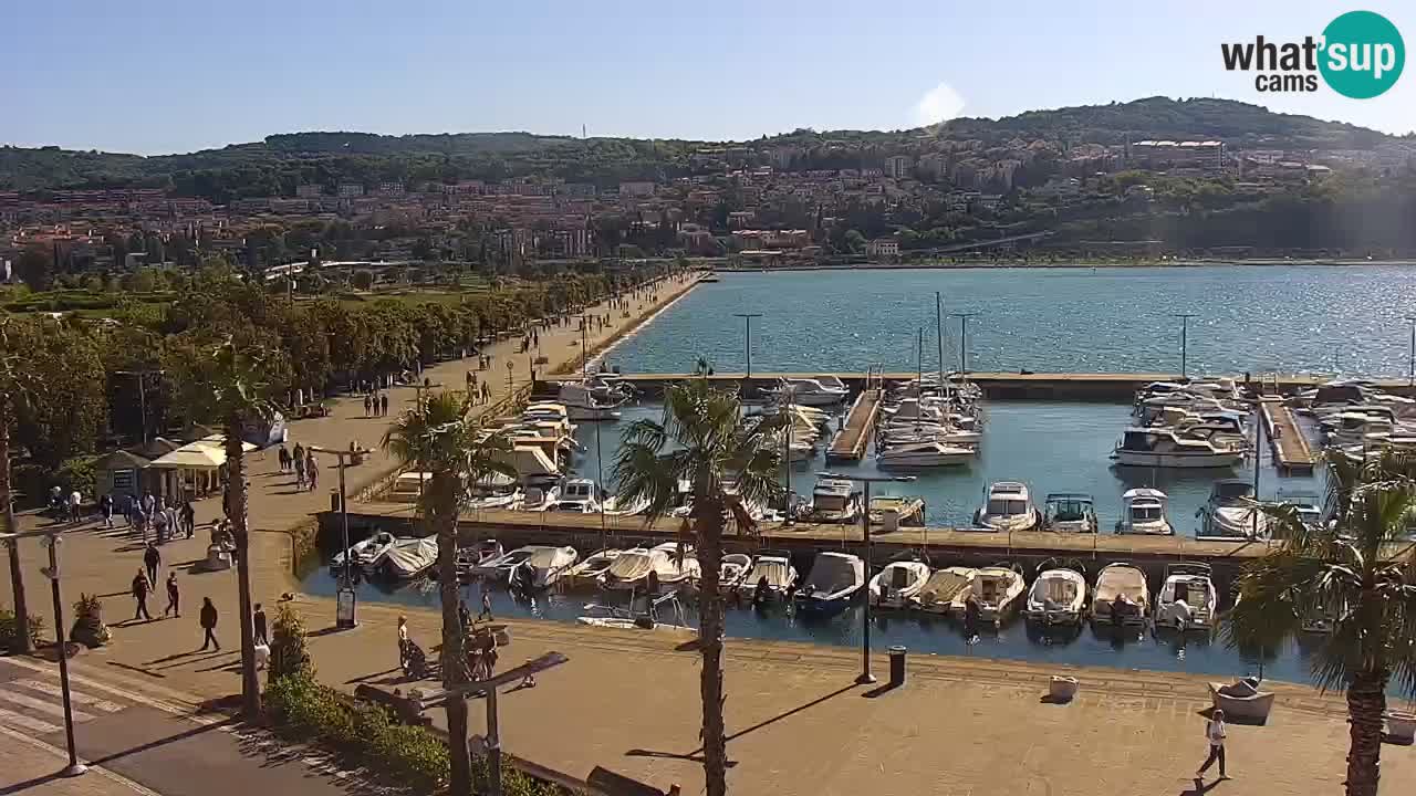 Live cam Koper – Ukmarjev trg