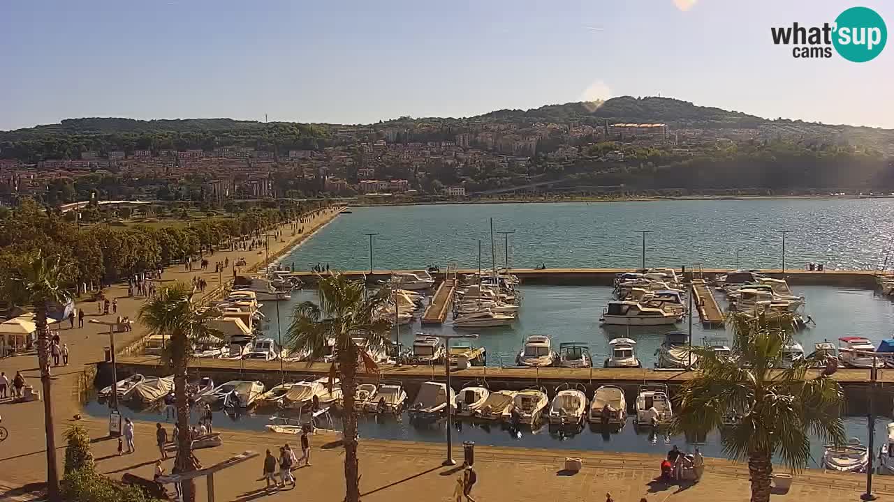 Der Hafen von Koper Live-Webcam – Kreuzfahrt- und Frachthafen – Slowenien