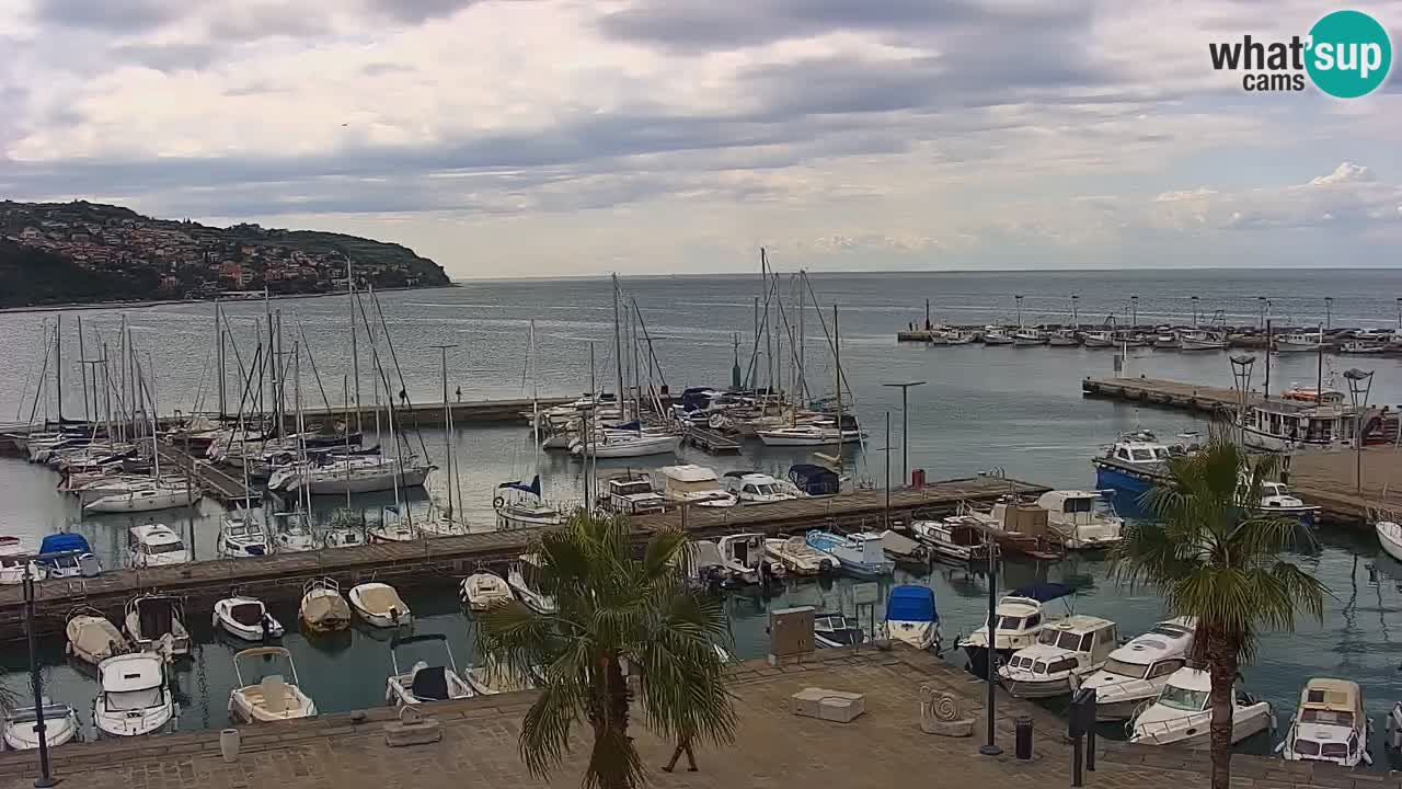 Camera en vivo Koper – puerto deportivo y paseo marítimo desde el Hotel Grand Koper