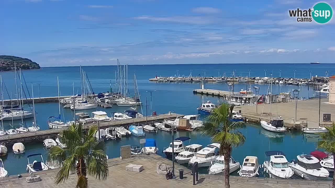 Web kamera Koper – marina i promenada – hotel Grand Koper