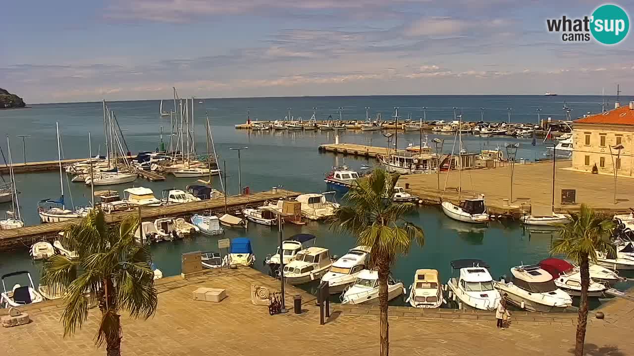 Der Hafen von Koper Live-Webcam – Kreuzfahrt- und Frachthafen – Slowenien