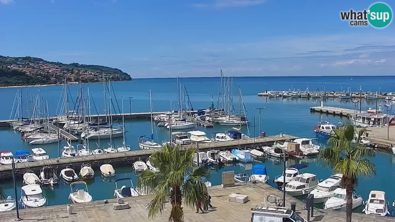 The Port of Koper live webcam – cruise and cargo port – Slovenia