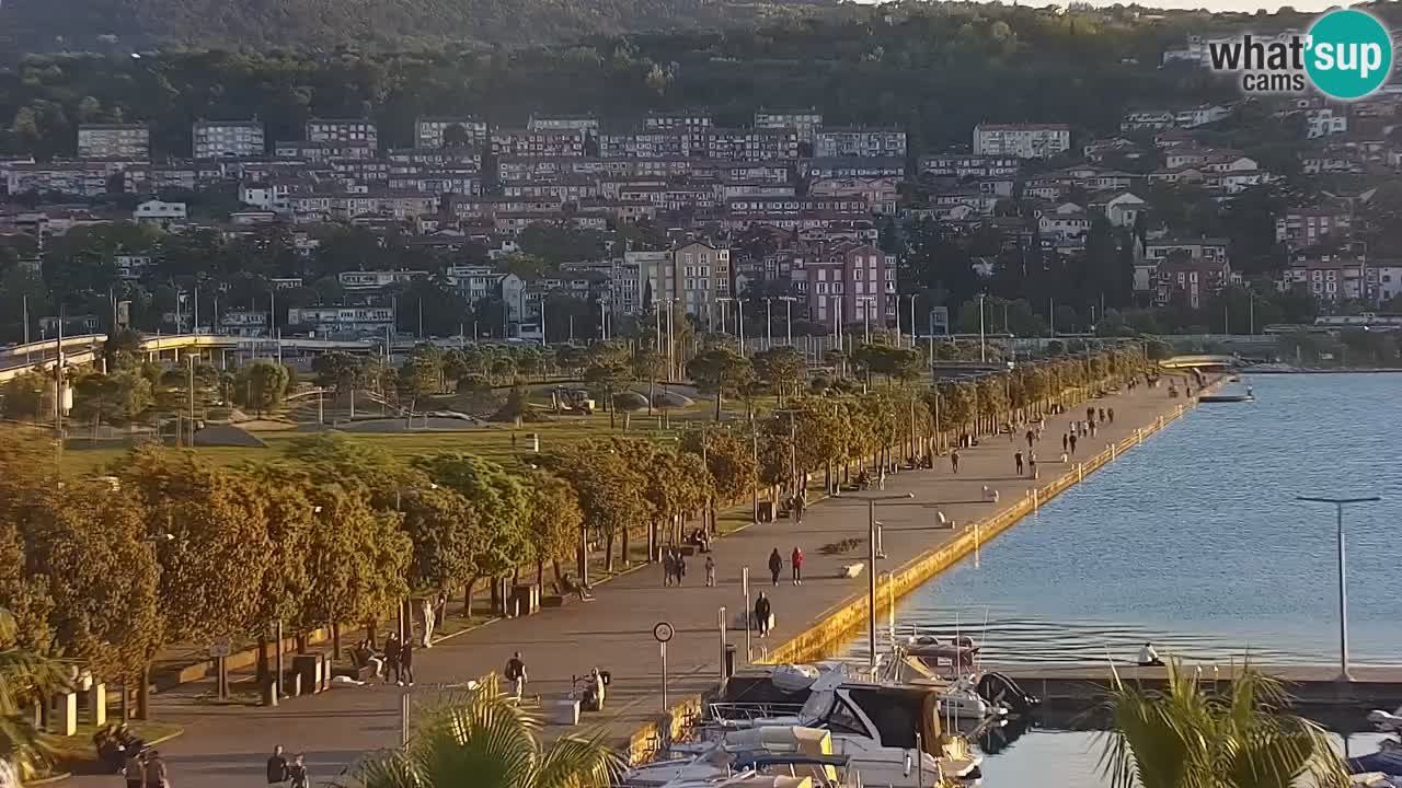 The Port of Koper live webcam – cruise and cargo port – Slovenia