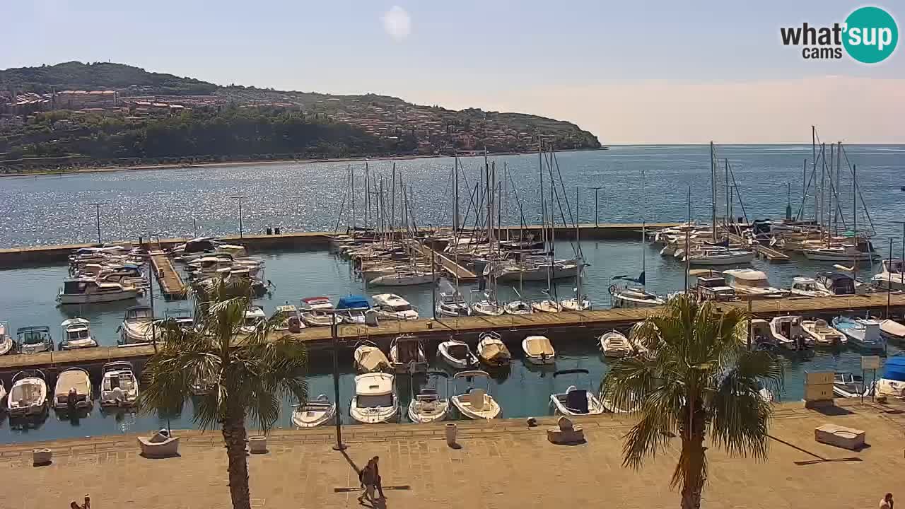 Der Hafen von Koper Live-Webcam – Kreuzfahrt- und Frachthafen – Slowenien