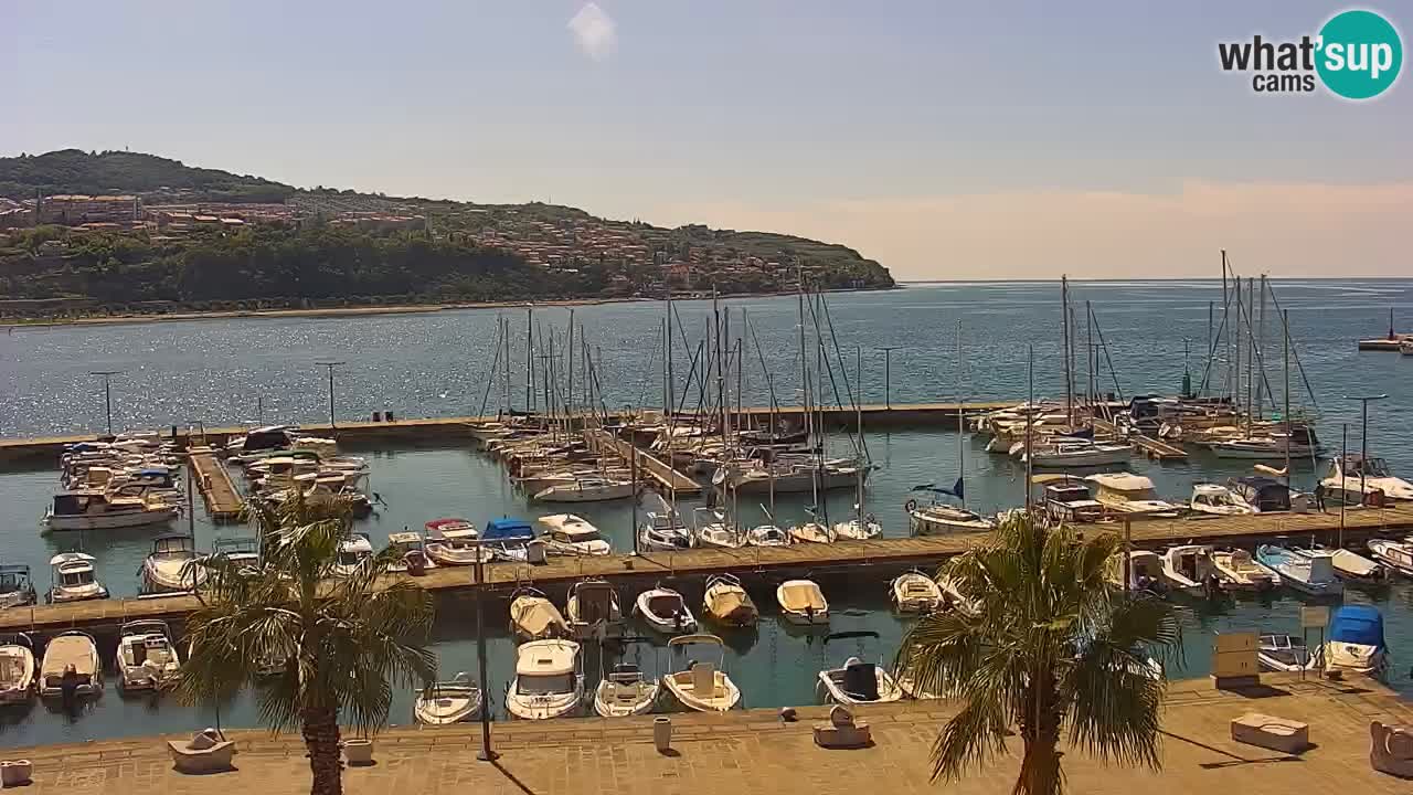 The Port of Koper live webcam – cruise and cargo port – Slovenia
