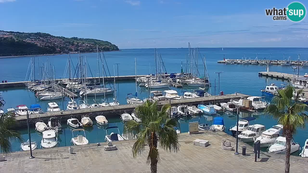 The Port of Koper live webcam – cruise and cargo port – Slovenia