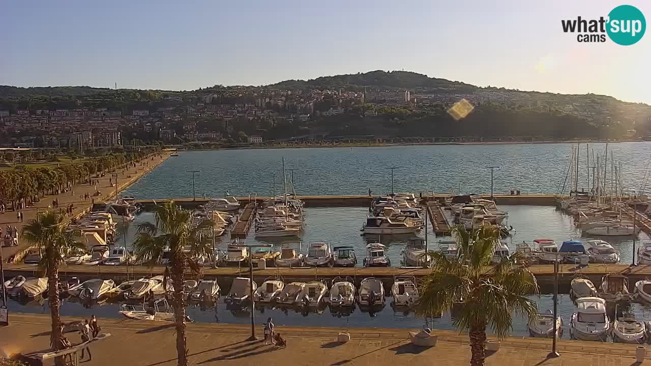 Webcam en direct du port de Koper – port de croisière et de fret – Slovénie