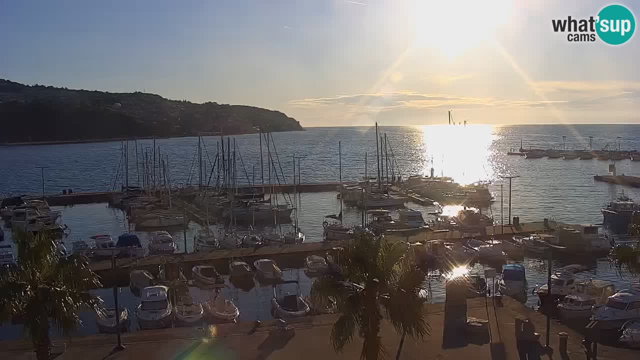 Der Hafen von Koper Live-Webcam – Kreuzfahrt- und Frachthafen – Slowenien