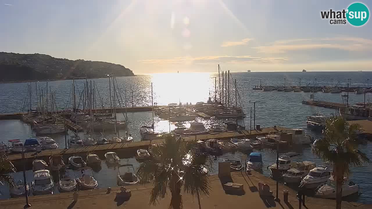 Der Hafen von Koper Live-Webcam – Kreuzfahrt- und Frachthafen – Slowenien