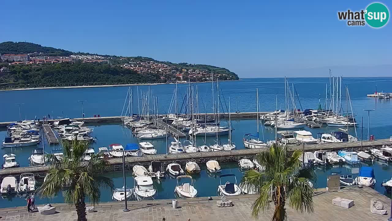 The Port of Koper live webcam – cruise and cargo port – Slovenia