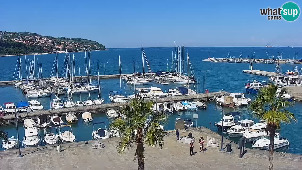 Webcam Capodistria – marina e lungo mare dall’Hotel Grand Koper