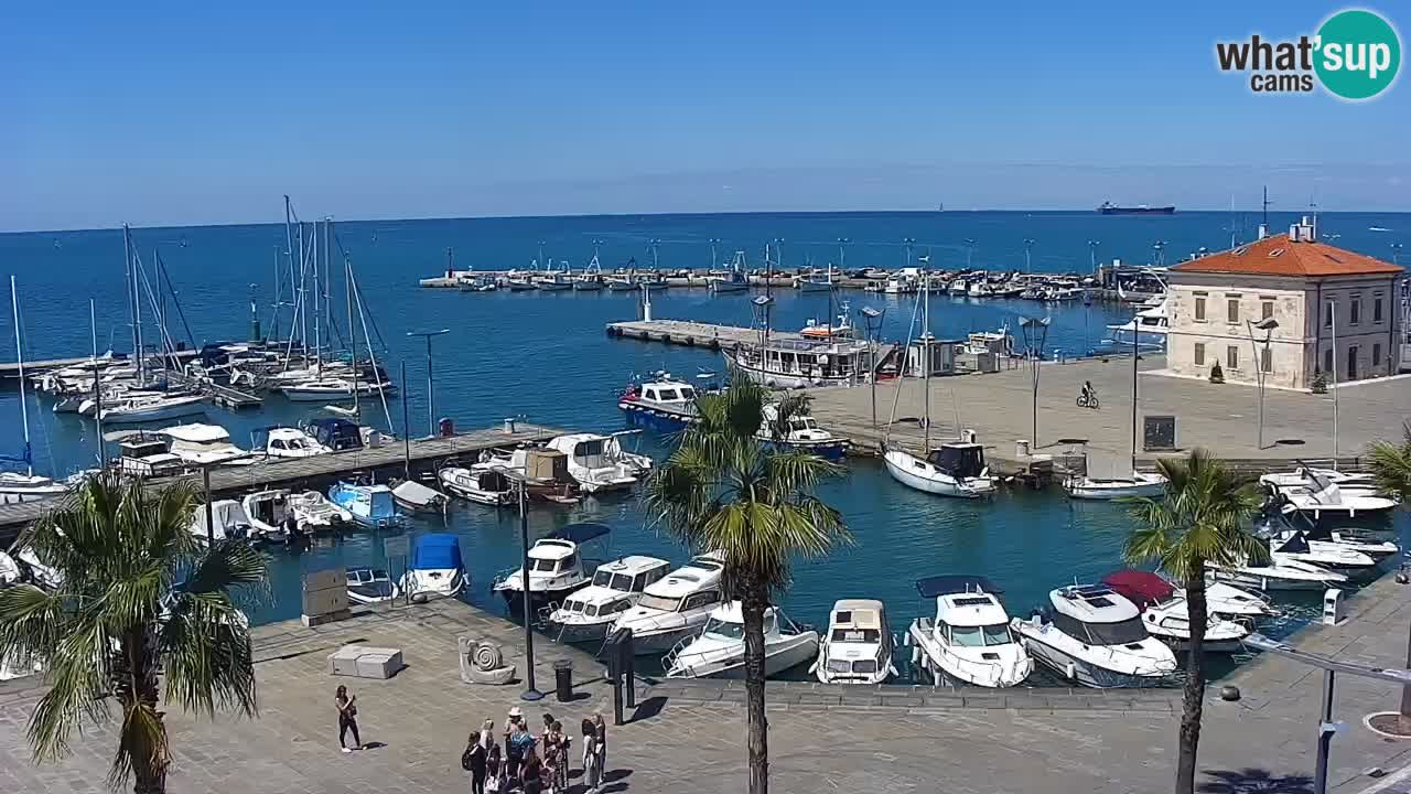 Webcam en direct du port de Koper – port de croisière et de fret – Slovénie