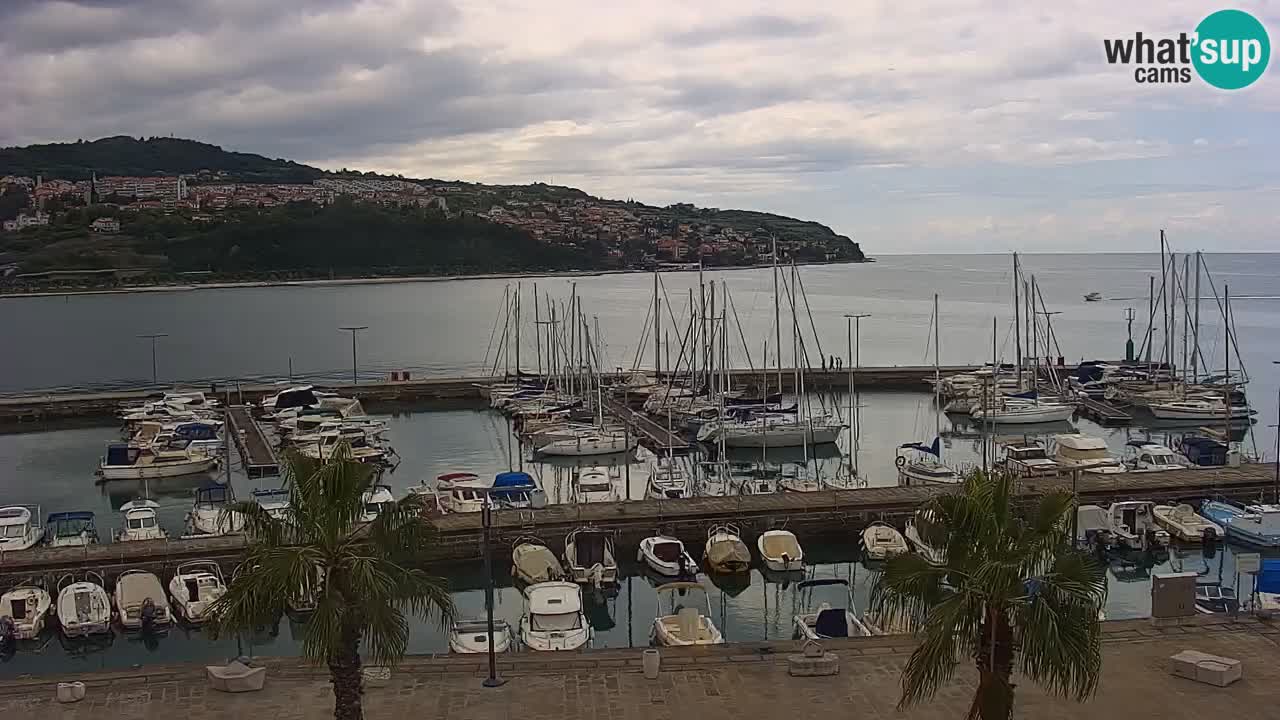 Webcam Koper – Ukmarjev trg