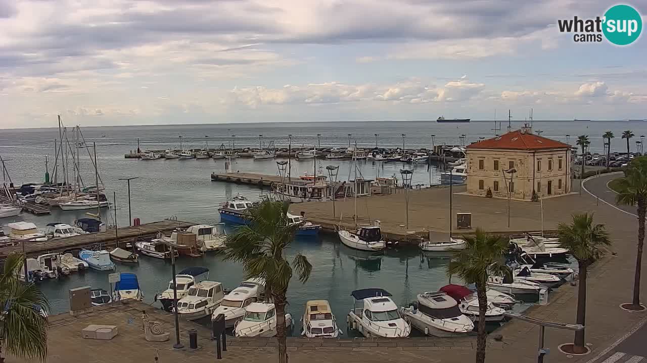 Web kamera Koper – marina i promenada – hotel Grand Koper