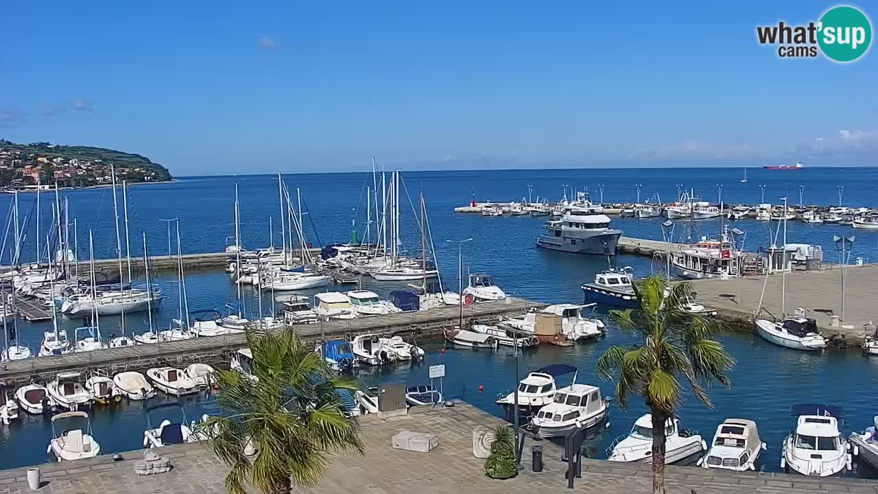 Webcam Capodistria – marina e lungo mare dall’Hotel Grand Koper