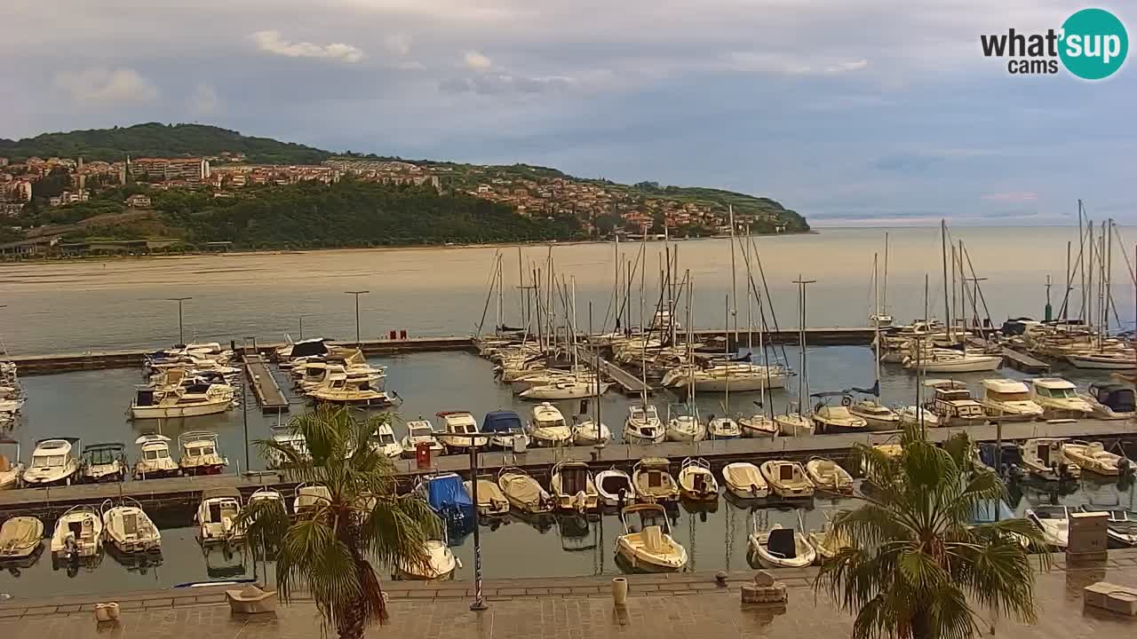 Webcam en direct du port de Koper – port de croisière et de fret – Slovénie