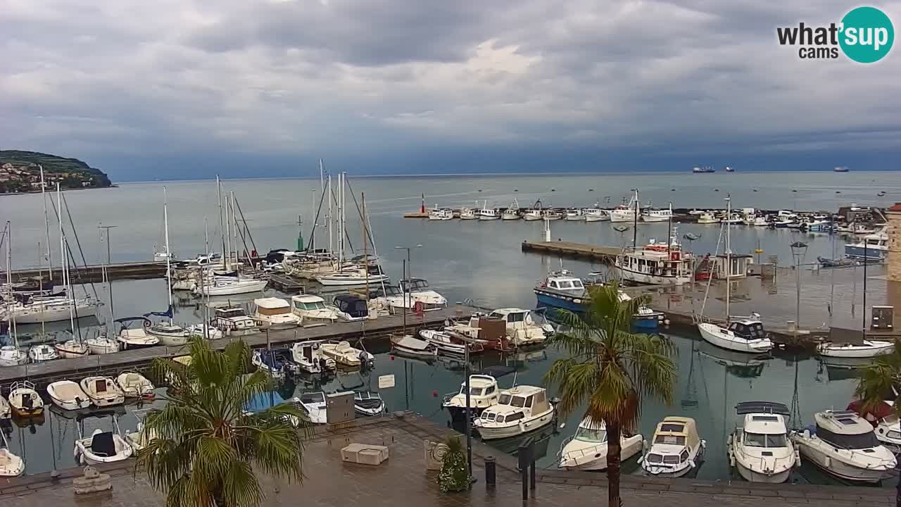 Webcam en direct du port de Koper – port de croisière et de fret – Slovénie