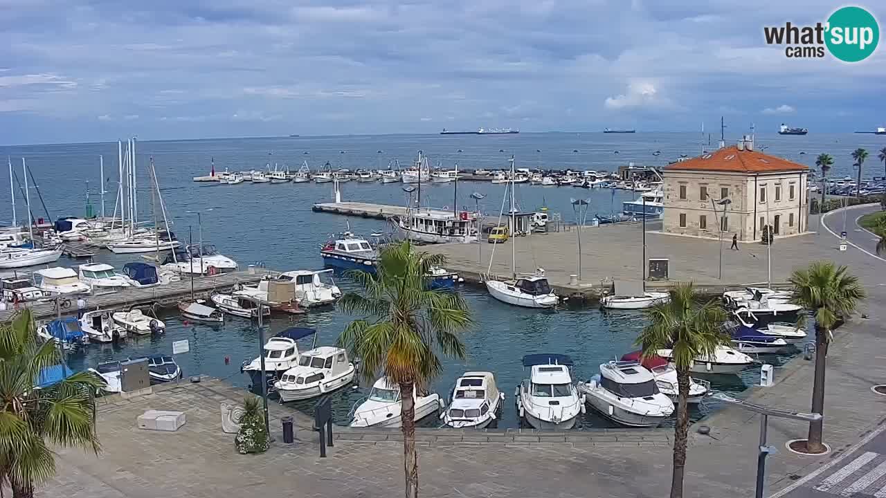Il porto di Koper – Capodistria live webcam – porto crociere e mercantile – Slovenia
