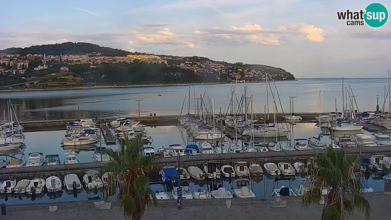 Spletna kamera Koper – Panorama na marino in promenado s Hotela Grand Koper