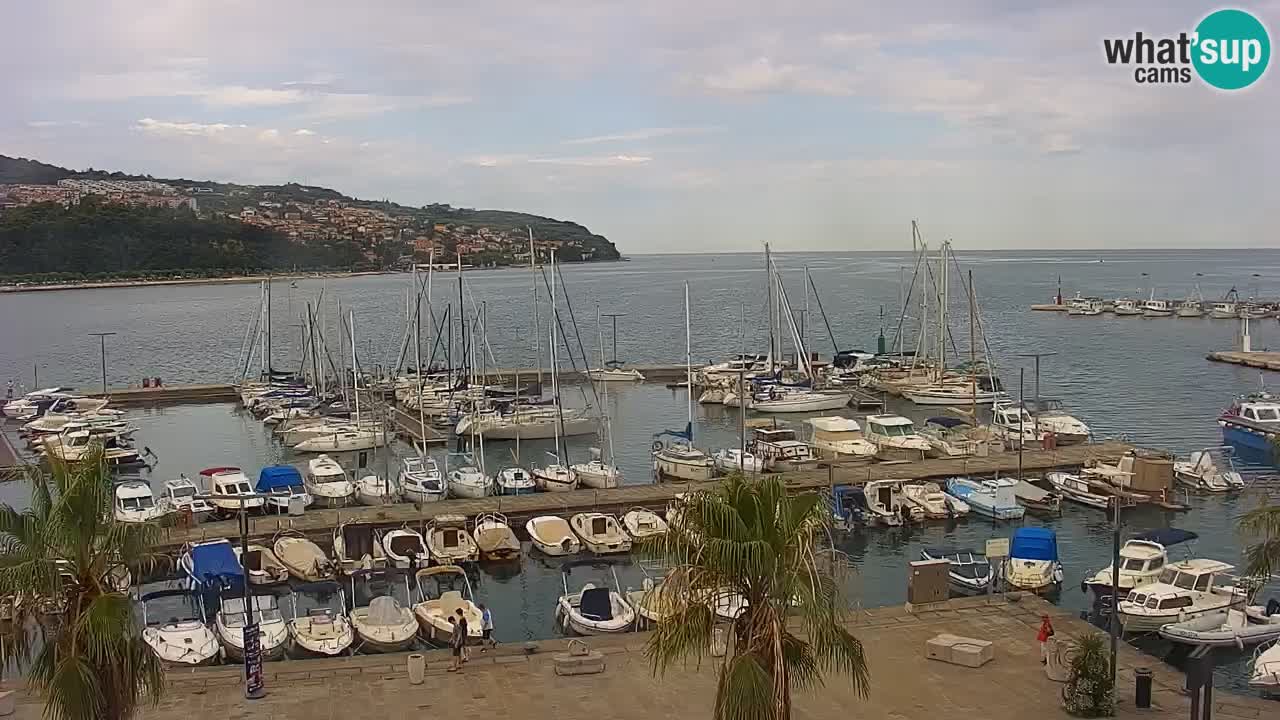 Spletna kamera Koper – Panorama na marino in promenado s Hotela Grand Koper