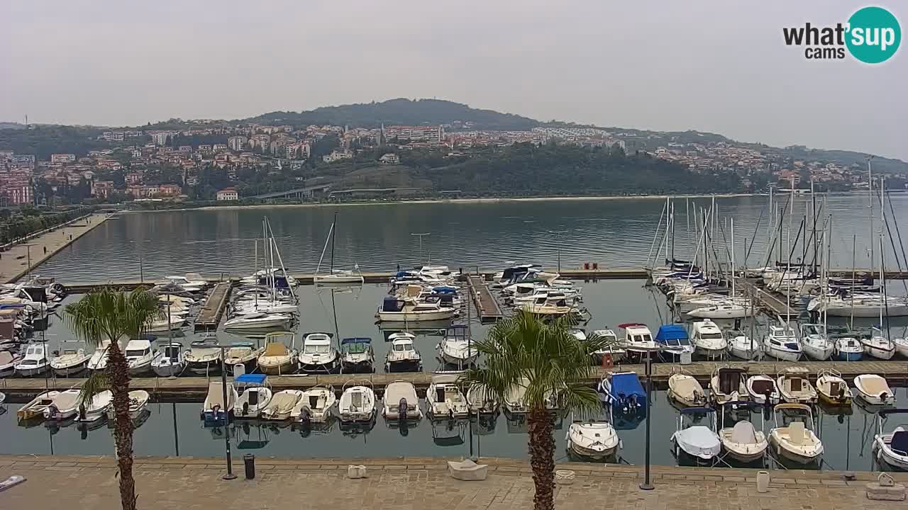 Webcam en vivo del Puerto de Koper – puerto de carga y cruceros – Eslovenia