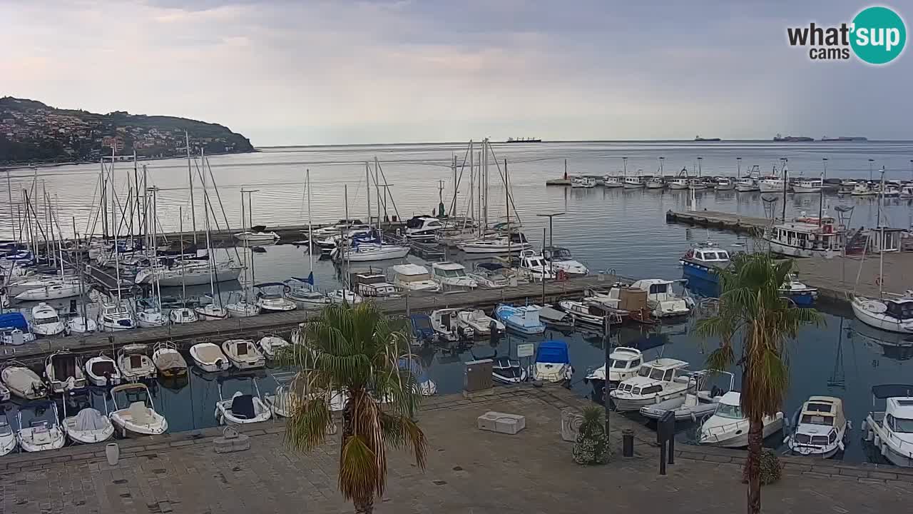 Webcam Koper – Panorama des Jachthafens und der Promenade vom Hotel Grand Koper