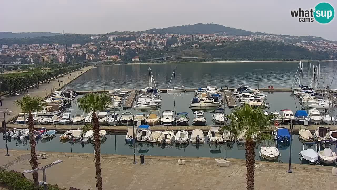 Webcam Koper – Panorama of the marina and promenade from the Grand Hotel Koper