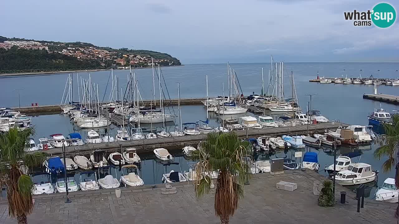 Camera en vivo Koper – puerto deportivo y paseo marítimo desde el Hotel Grand Koper