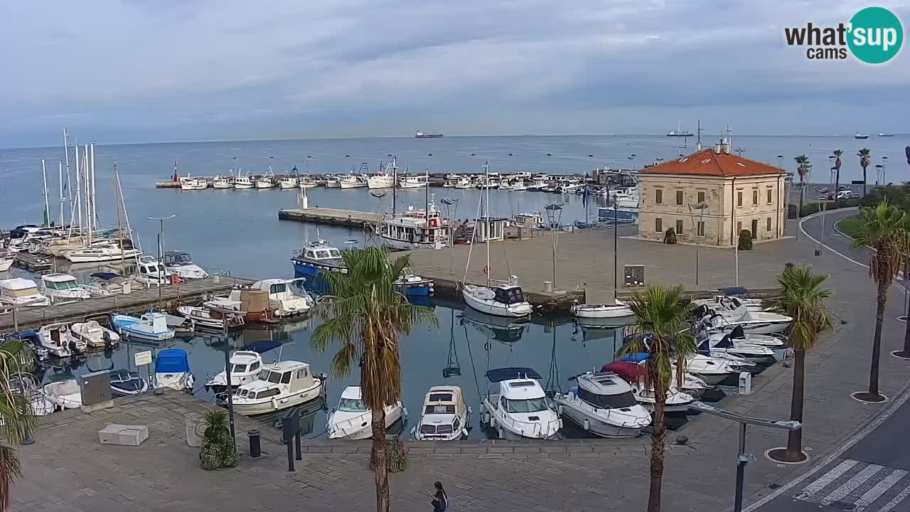 Webcam Koper – Panorama of the marina and promenade from the Grand Hotel Koper