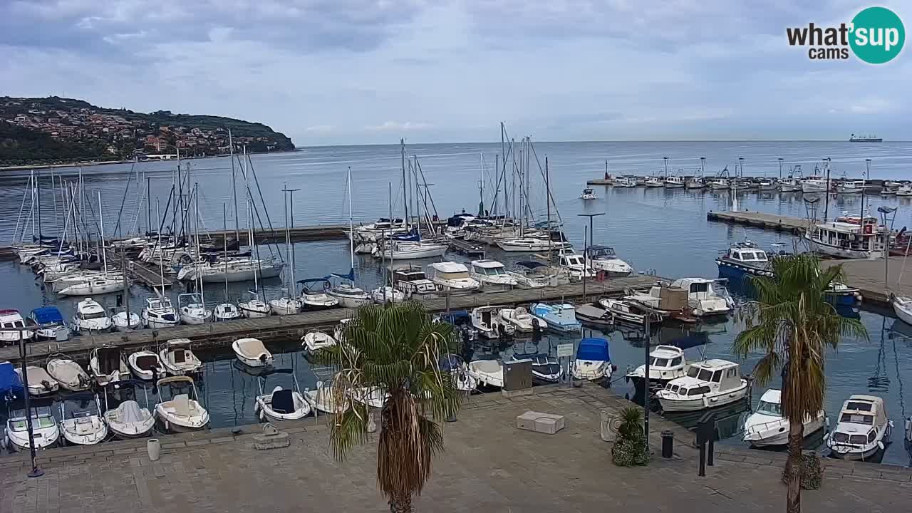 Webcam en direct du port de Koper – port de croisière et de fret – Slovénie