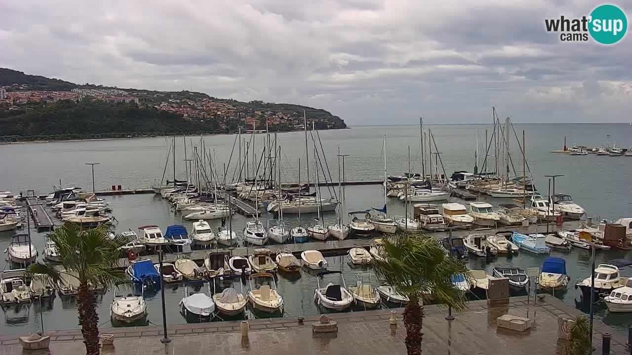 Webcam Koper – Panorama of the marina and promenade from the Grand Hotel Koper