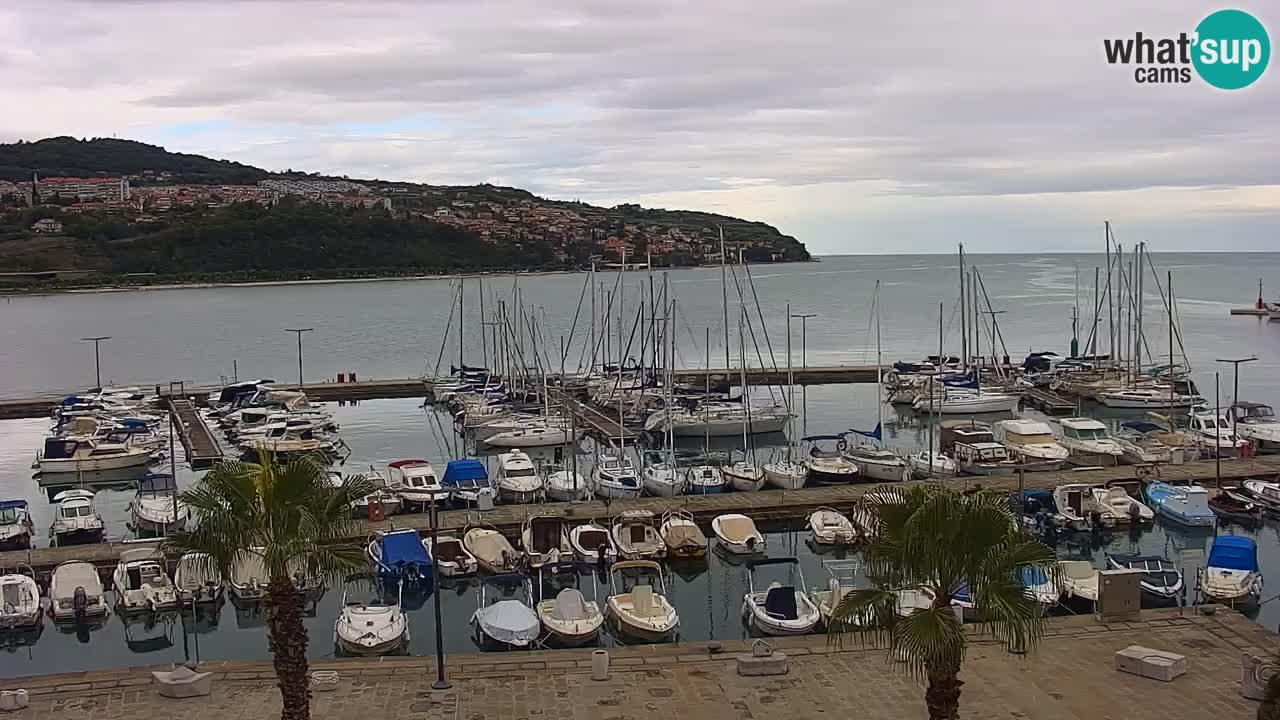 Spletna kamera Koper – Panorama na marino in promenado s Hotela Grand Koper