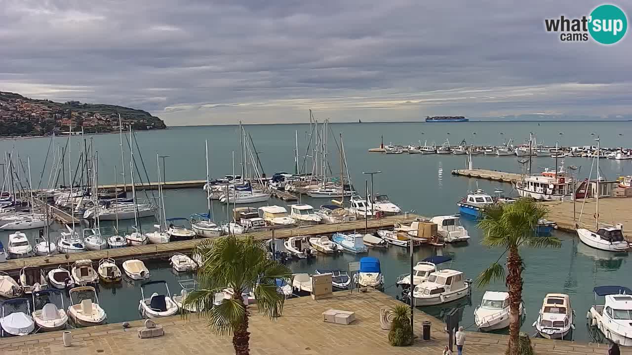 Spletna kamera Koper – Panorama na marino in promenado s Hotela Grand Koper