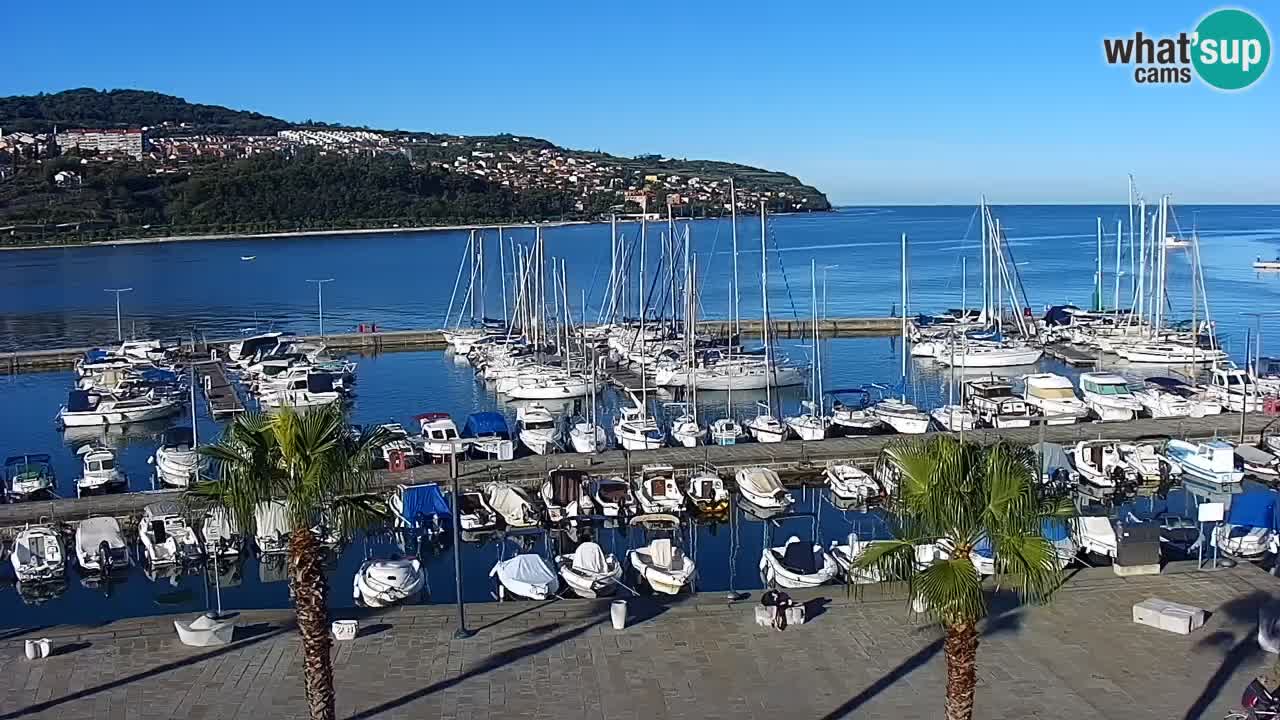 Webcam Koper – Panorama de la marina et de la promenade depuis le Grand Hotel Koper