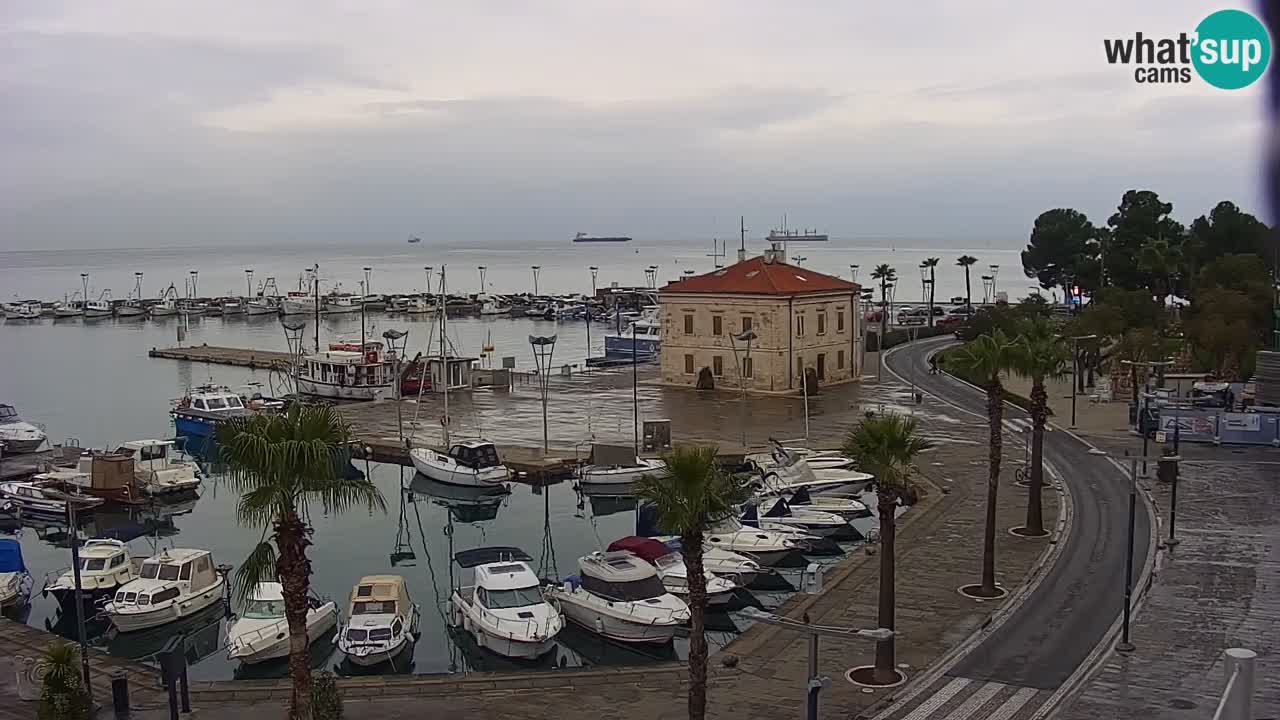 Il porto di Koper – Capodistria live webcam – porto crociere e mercantile – Slovenia