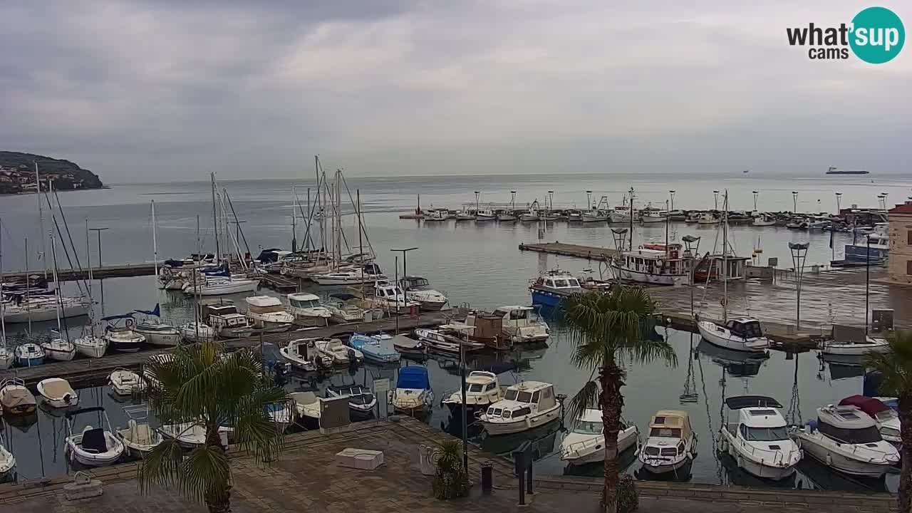 Webcam en direct du port de Koper – port de croisière et de fret – Slovénie