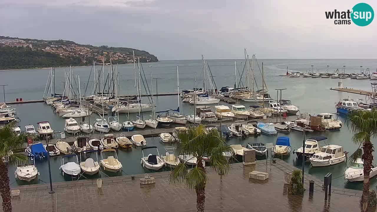 Webcam en direct du port de Koper – port de croisière et de fret – Slovénie