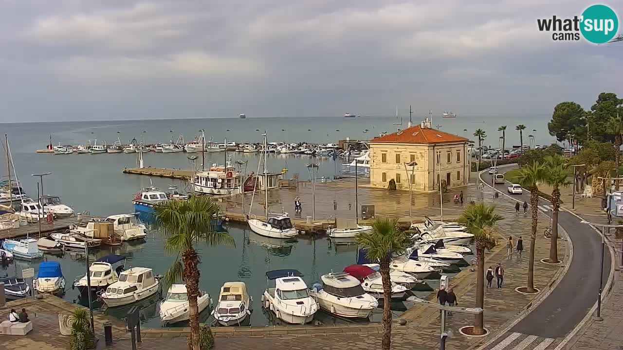 Der Hafen von Koper Live-Webcam – Kreuzfahrt- und Frachthafen – Slowenien