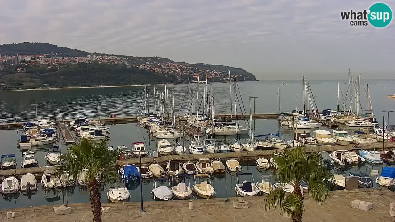 Webcam Capodistria – marina e lungo mare dall’Hotel Grand Koper