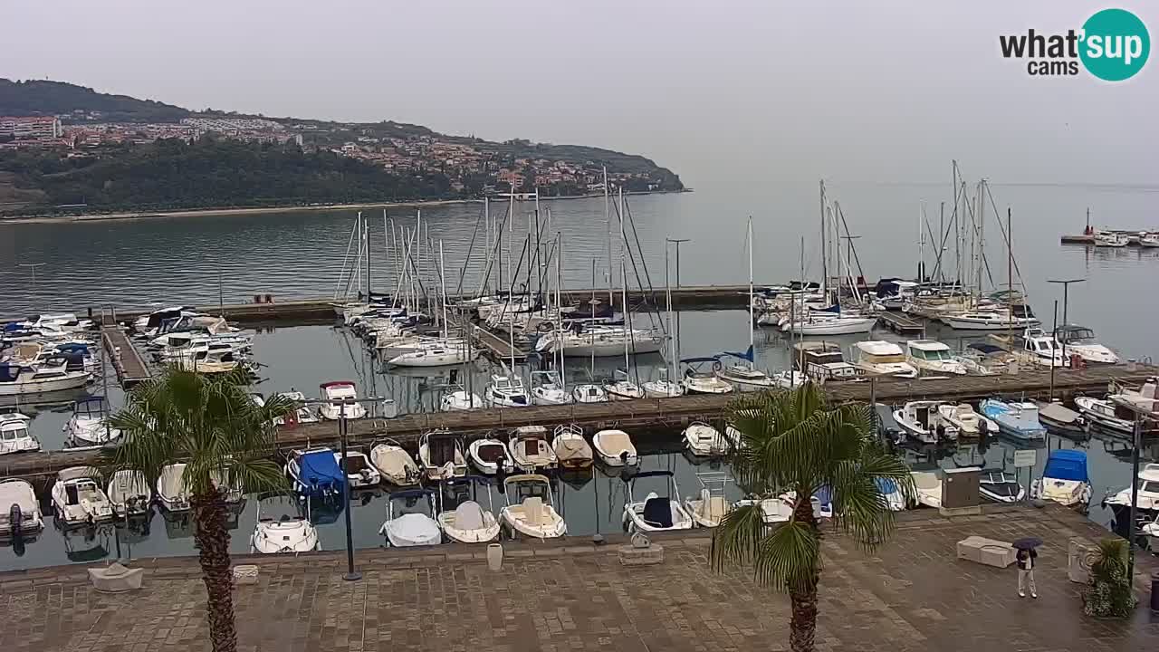 Webcam Koper – Panorama de la marina et de la promenade depuis le Grand Hotel Koper